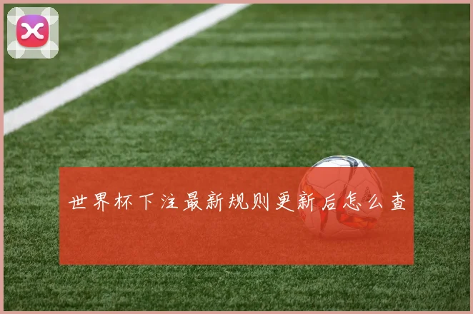 世界杯下注最新规则更新后怎么查