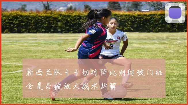 新西兰队卡卡切对阵比利时破门机会是否被放大战术拆解