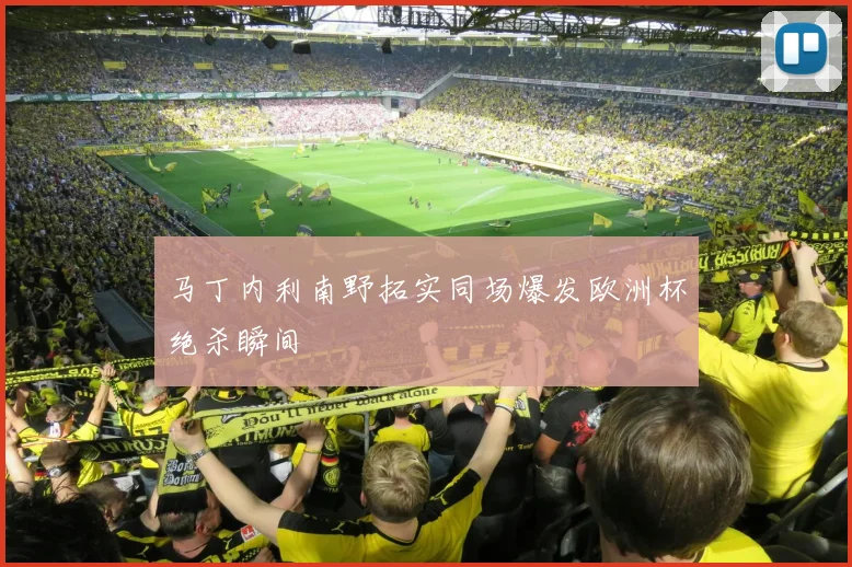 马丁内利南野拓实同场爆发欧洲杯绝杀瞬间