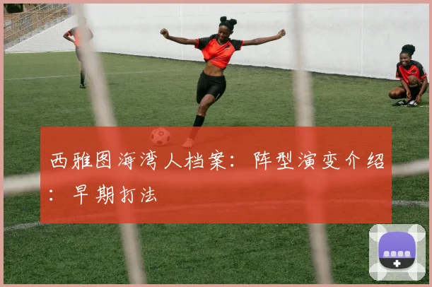 西雅图海湾人档案：阵型演变介绍：早期打法